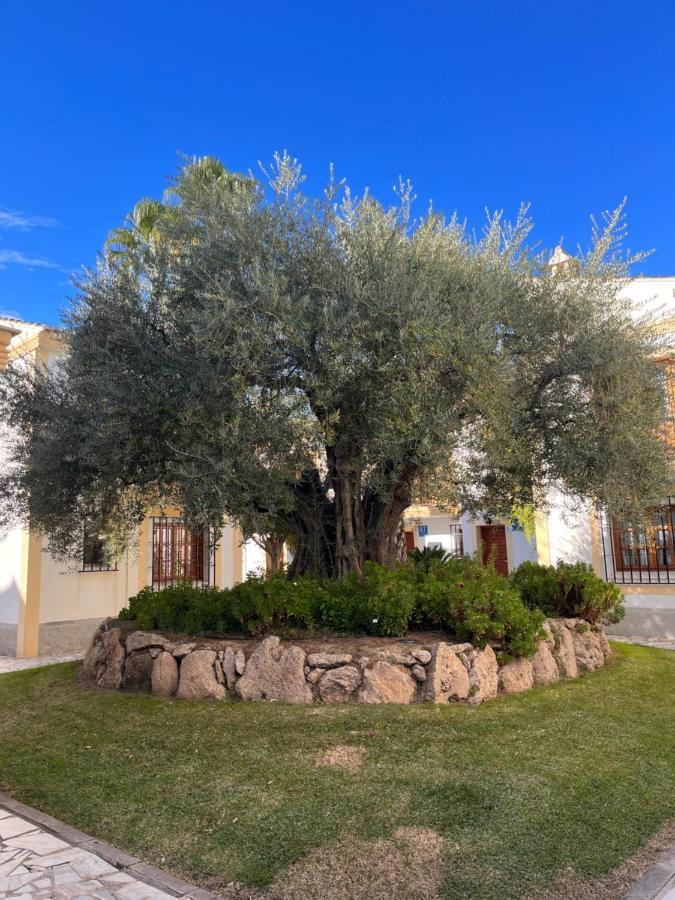 Apartamento Soleado Vera Costa, 200 M De La Playa Playas de Vera Εξωτερικό φωτογραφία